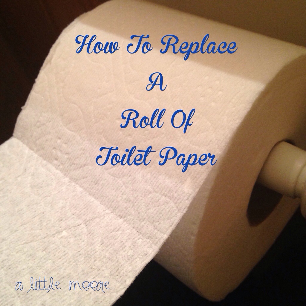 How To Change A Toilet Paper Roll - A Little Moore